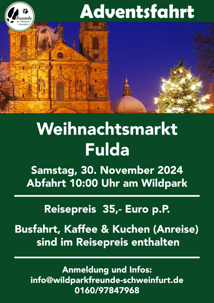 Advent Fulda 2024